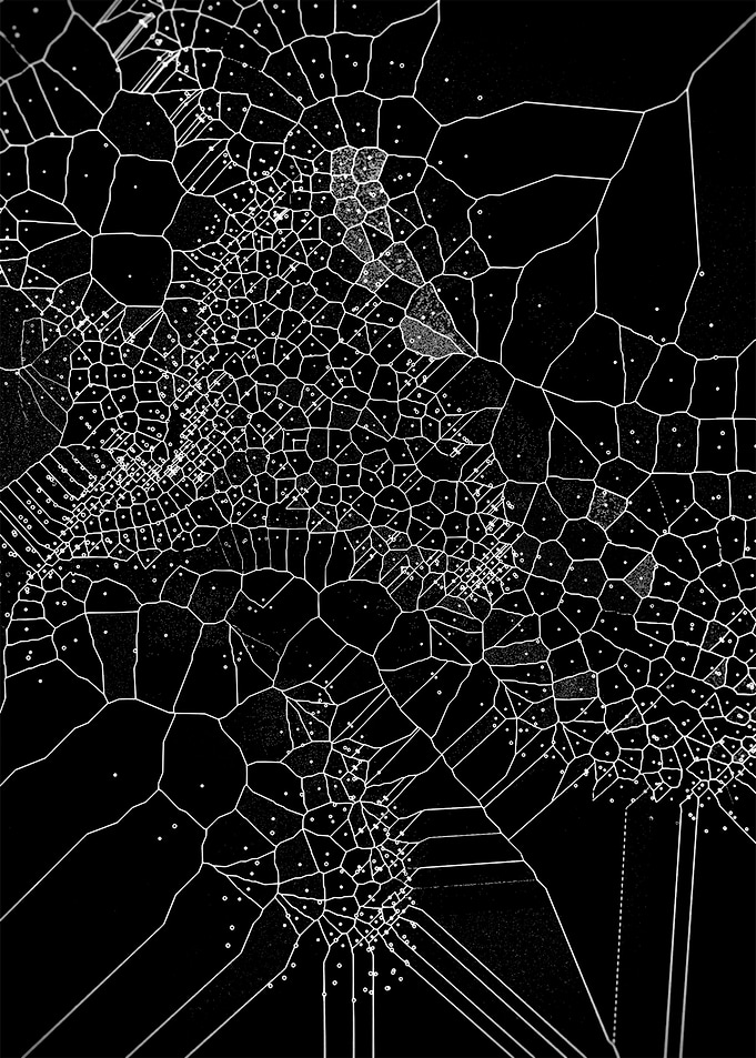 Voronoi Syndrome 06