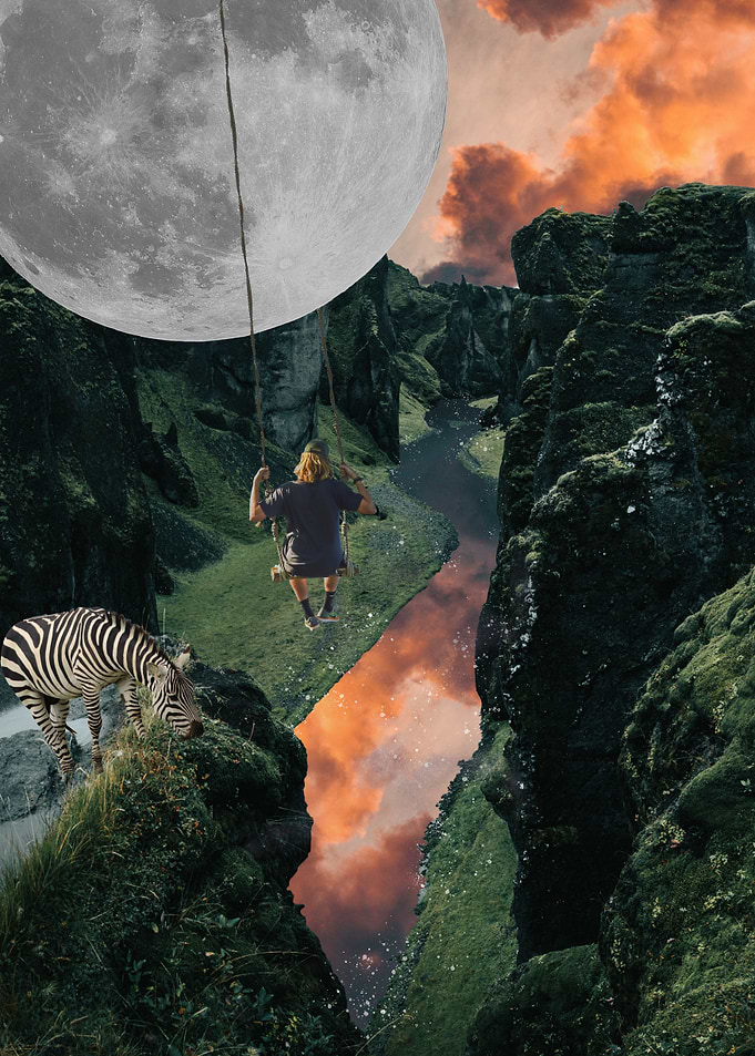 Safari Swing