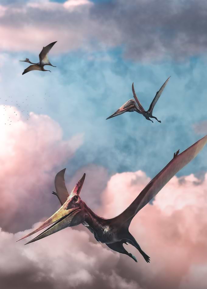 Ancient ruler of the skies