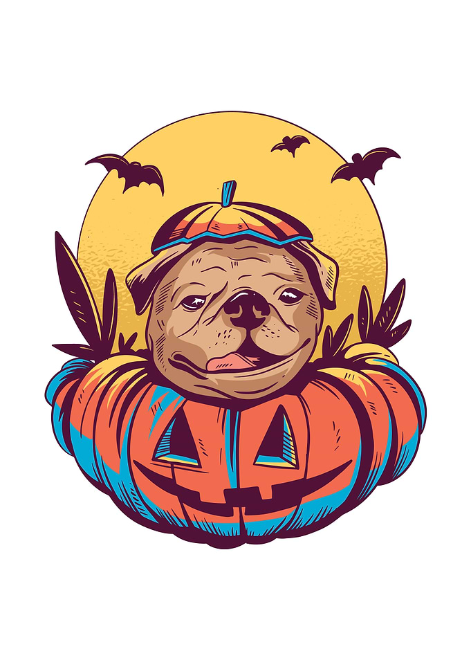 Halloween Pug in Pumpkin