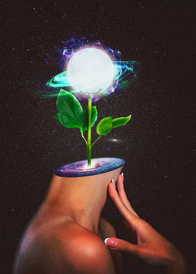 Blooming Again