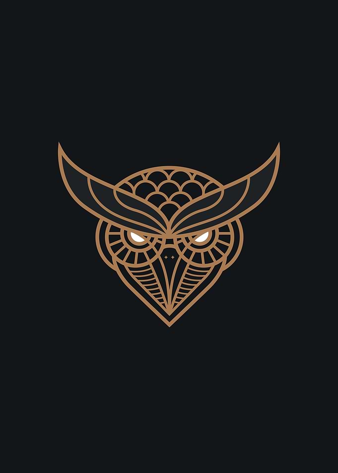 Wisdom Owl Head