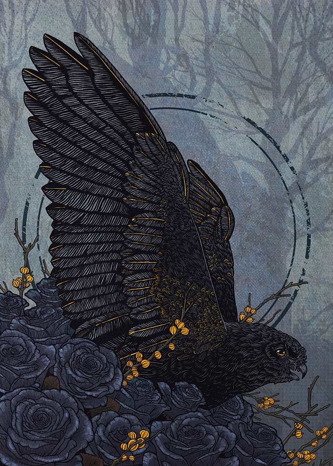 Black Owl