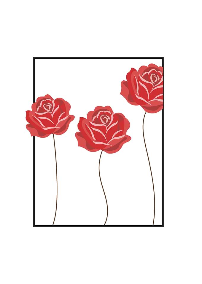 Roses