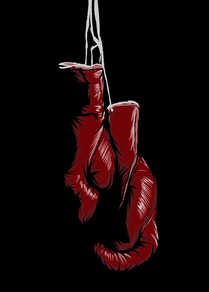 boxing gloves