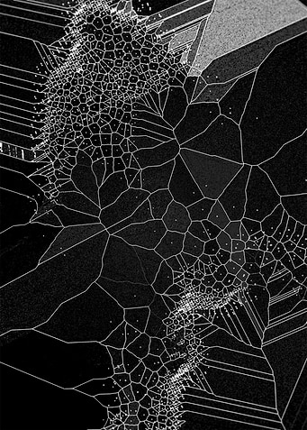 Voronoi Syndrome 01