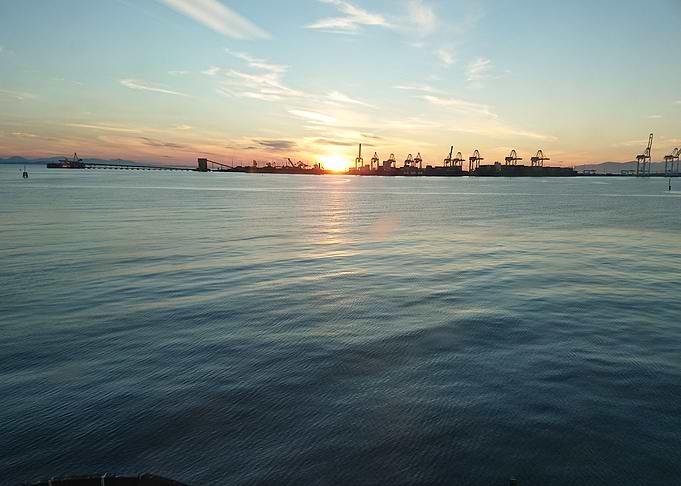 Sunset on a Flock of Crane