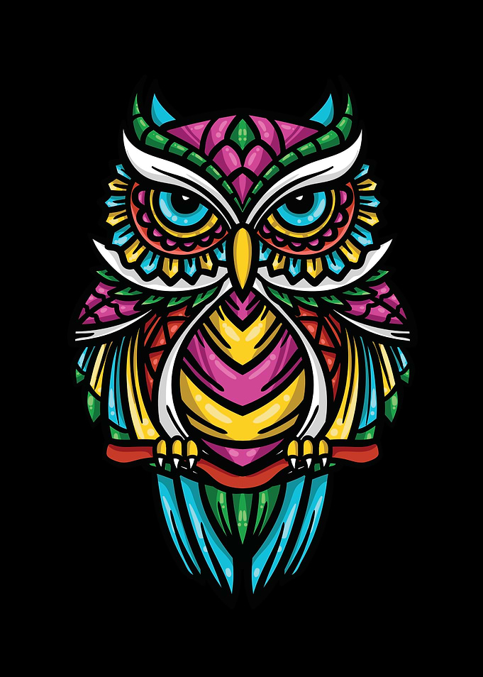 Owl Forest Owl Owl Gift