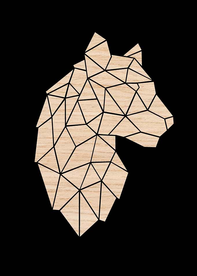 Oak Tiger