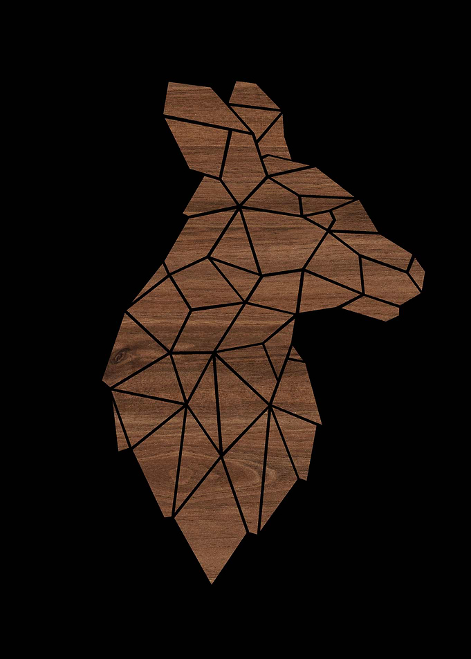 Walnut Kangaroo