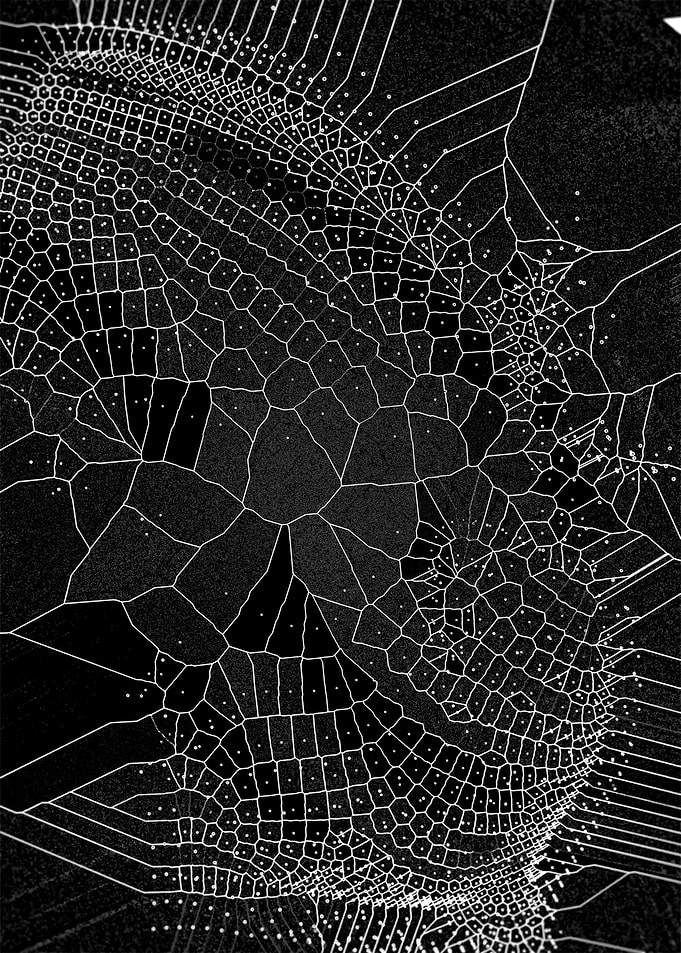 Voronoi Syndrome 05