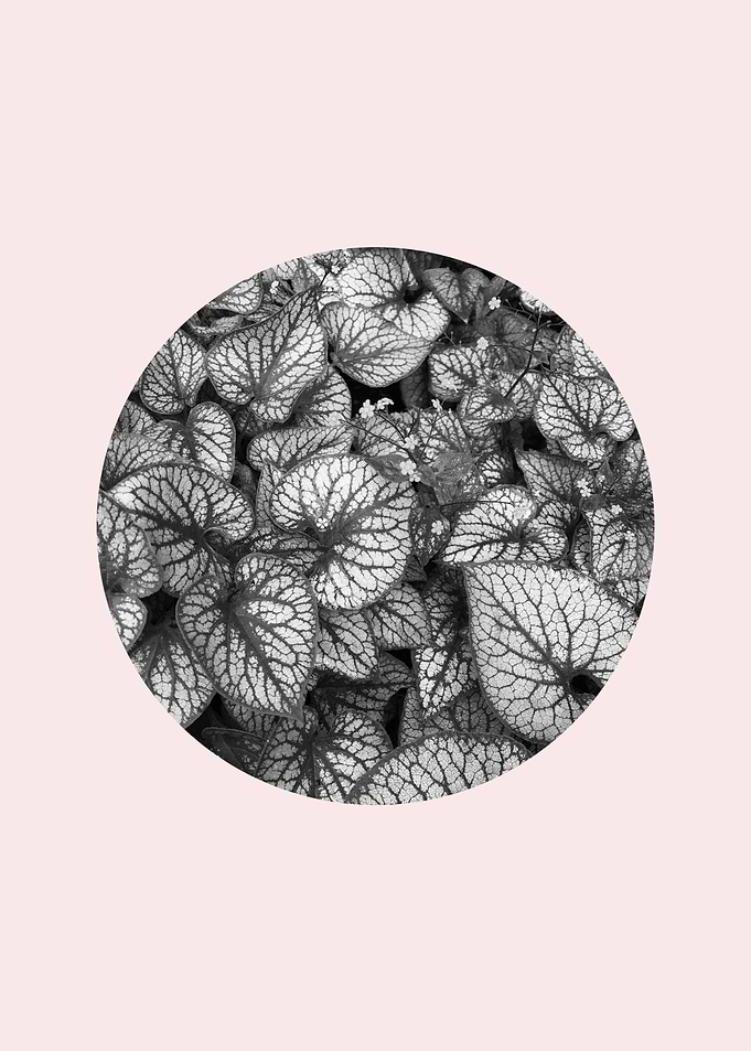 Tropical circle