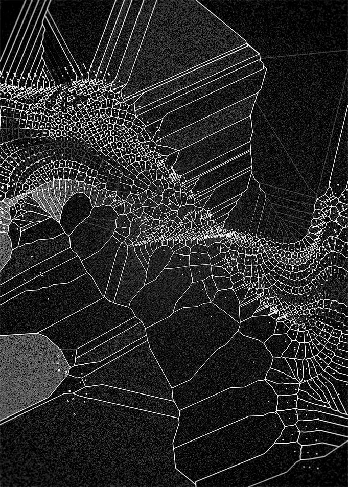 Voronoi Syndrome 04