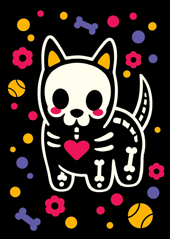 Dog skeleton