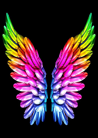 Angel Wings LGBT LGBTQ