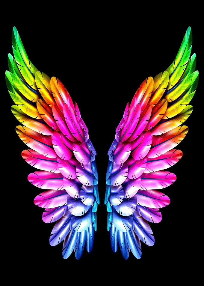 Angel Wings LGBT LGBTQ