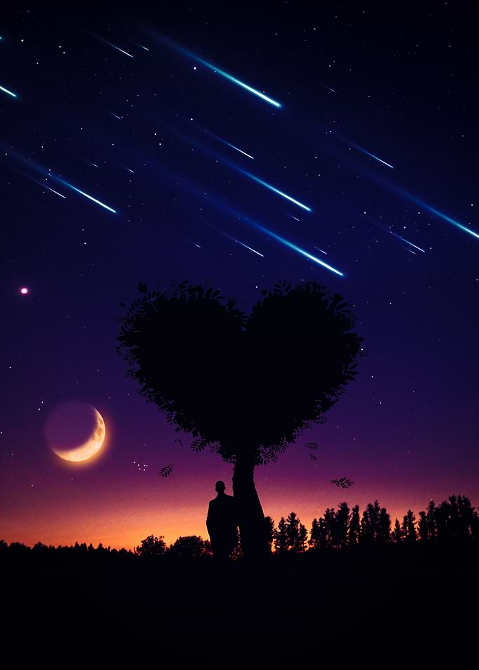 Near my Tree Love Heart
