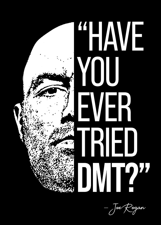 Joe Rogan jre quote dmt