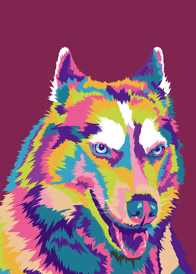 Siberian Huskies pop art