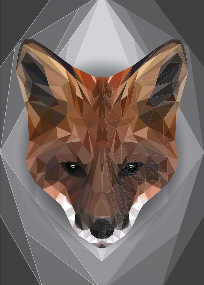 Fox Geometric