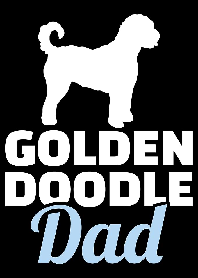Goldendoodle
