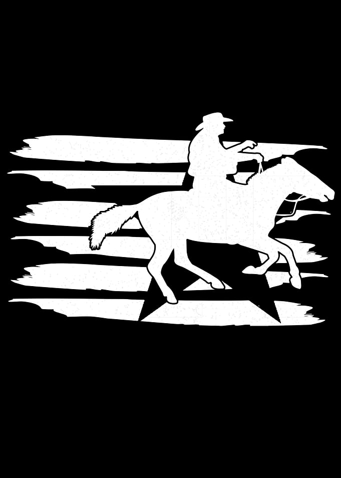 Rodeo Gift