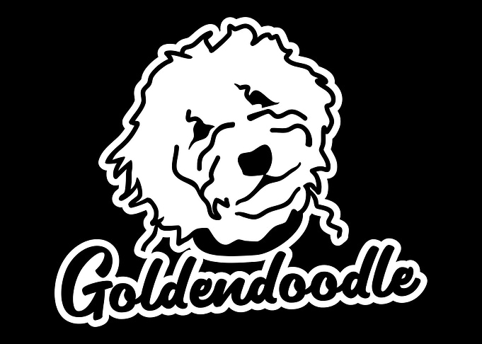 Goldendoodle