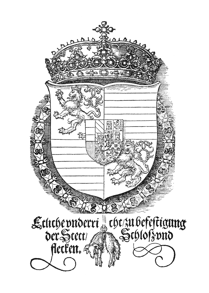 Arms of Ferdinand 1st