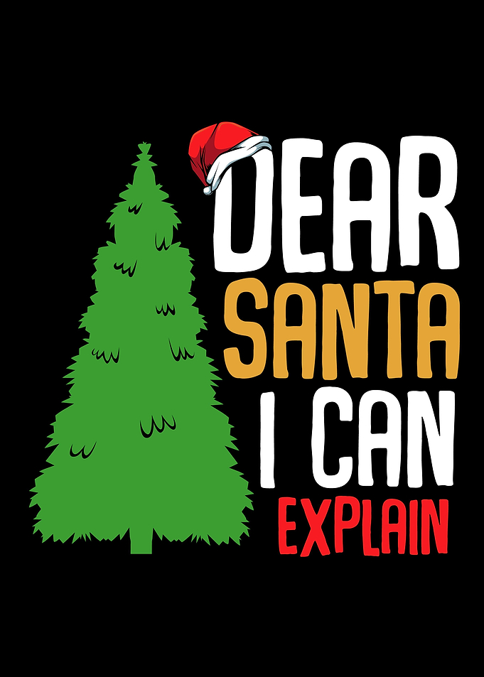 Dear Santa I Can Explain M