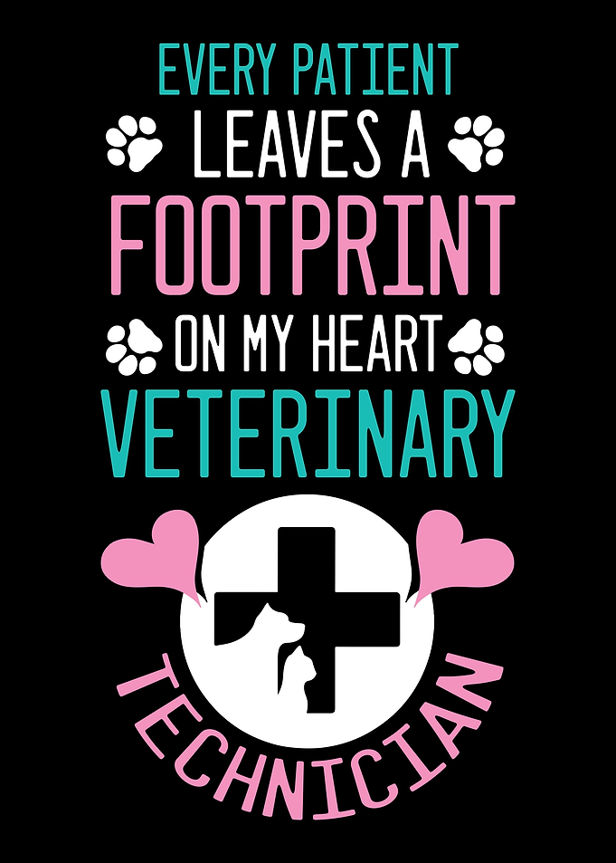 veterinarian animal dog