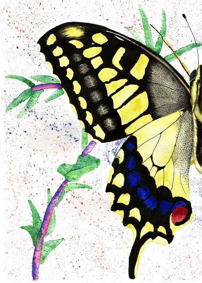 Spirit of Transformation