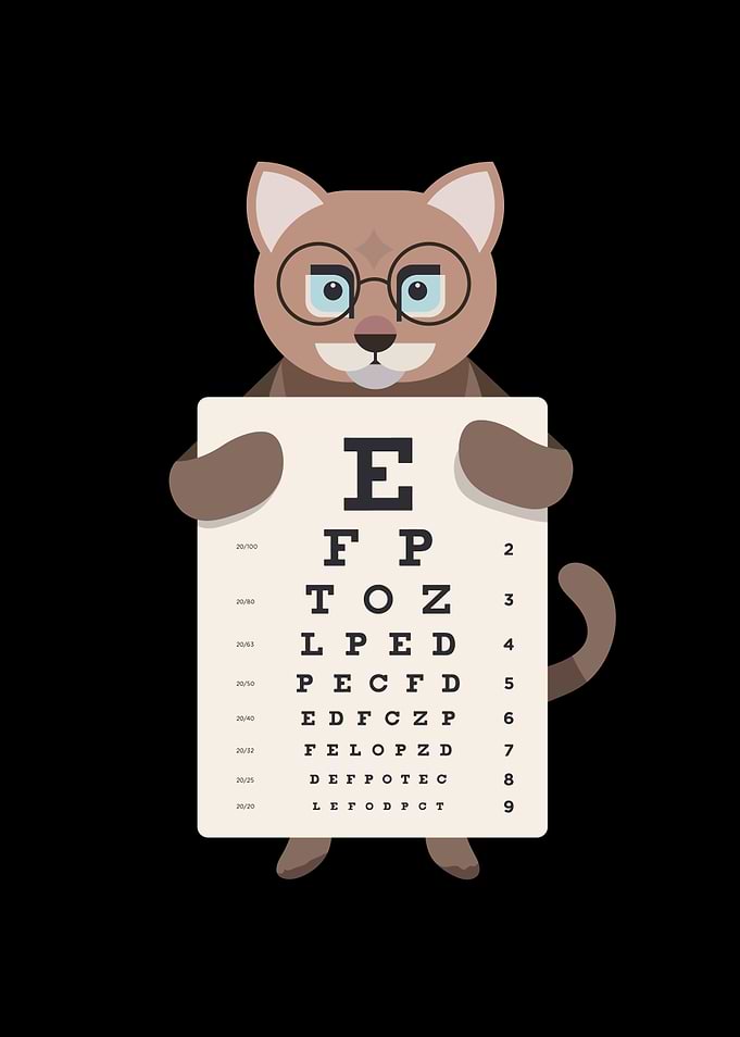 Cat Eyes Table