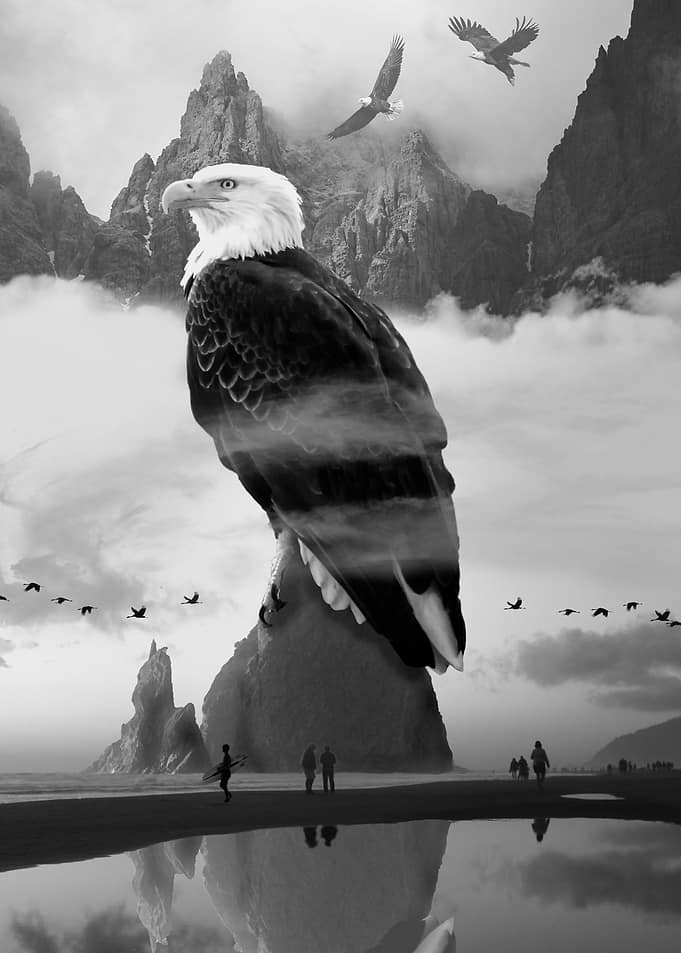 Eagles Point