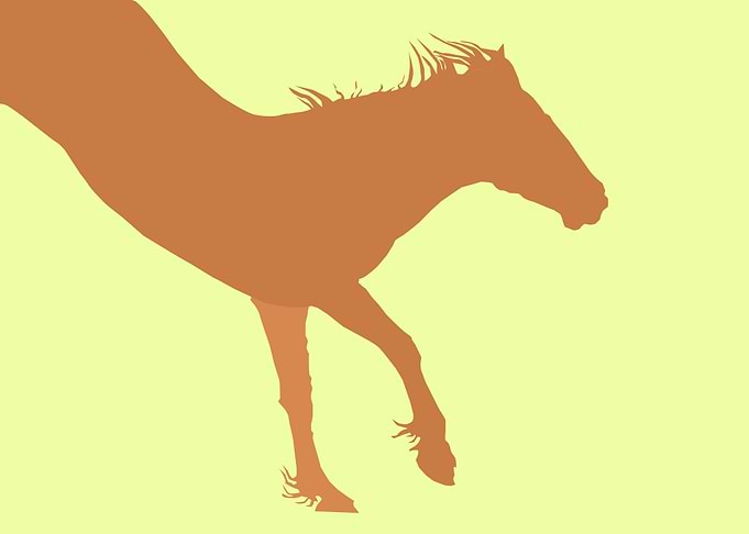 Jump like a horse