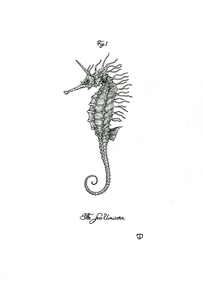 The Sea Unicorn