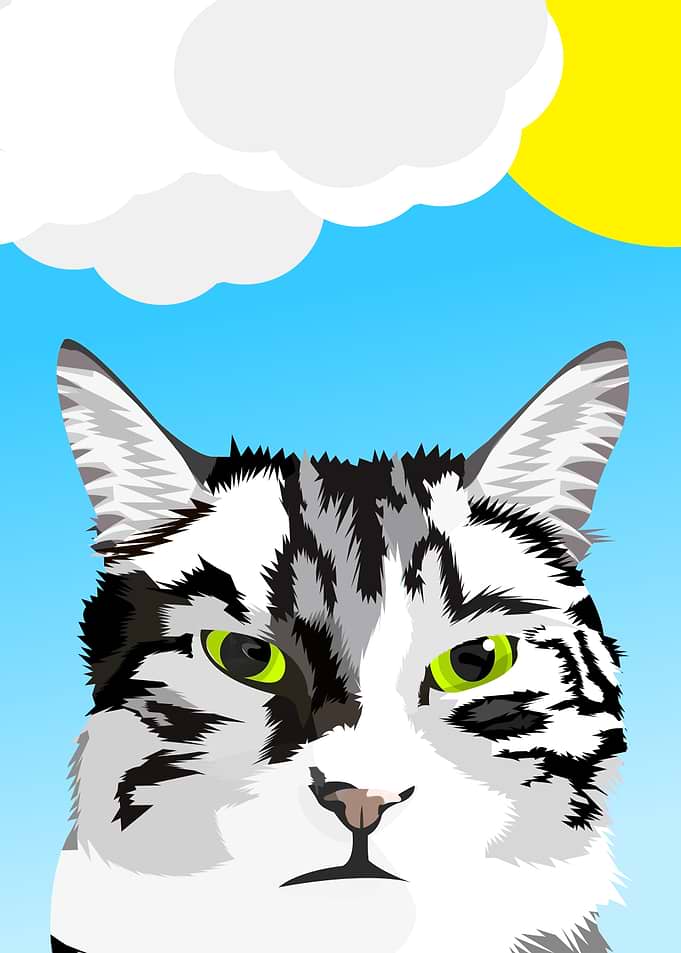Grisou the Cat