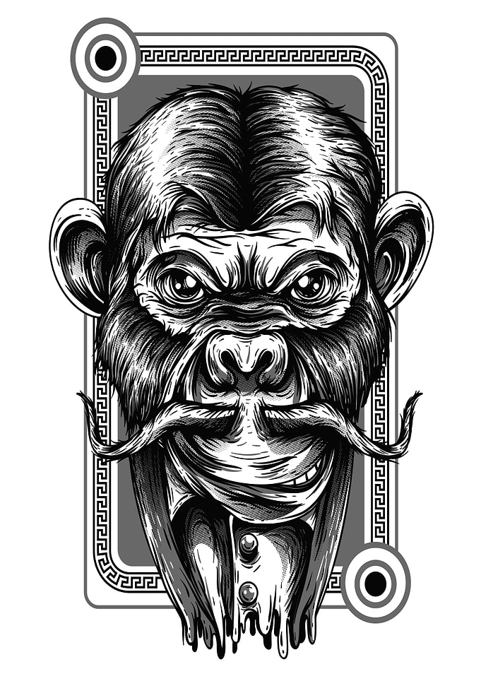Fancy Monkey