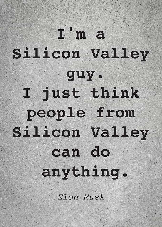 Elon Musk Quote L035