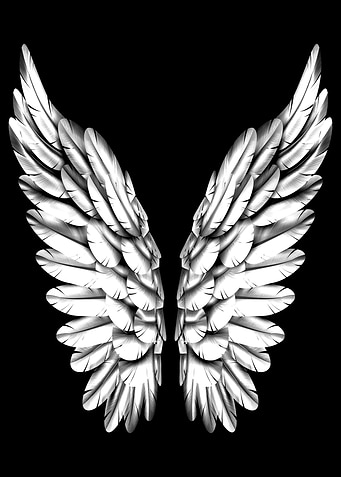White Angel Wings