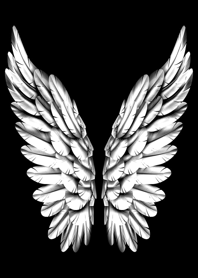 White Angel Wings
