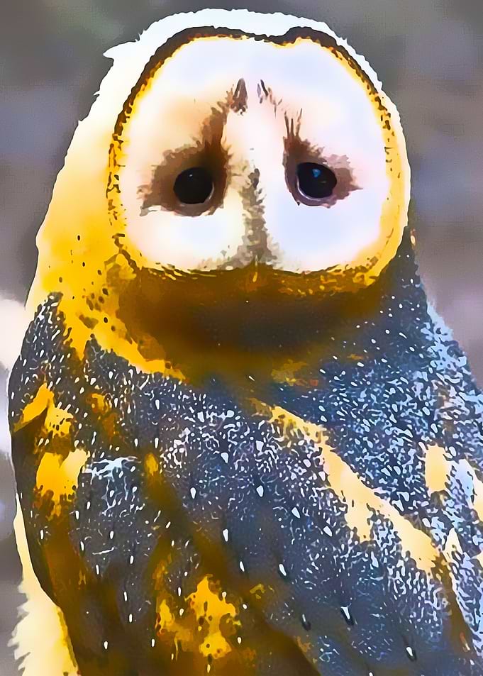 Animals 2