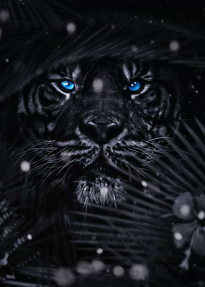 Jungle Tiger