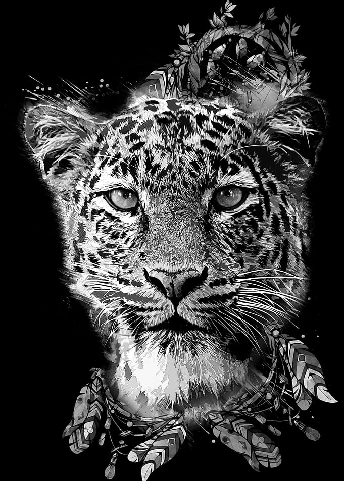 BlackCheetah dreamcatcher