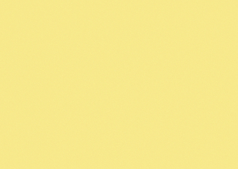 Solid Color
