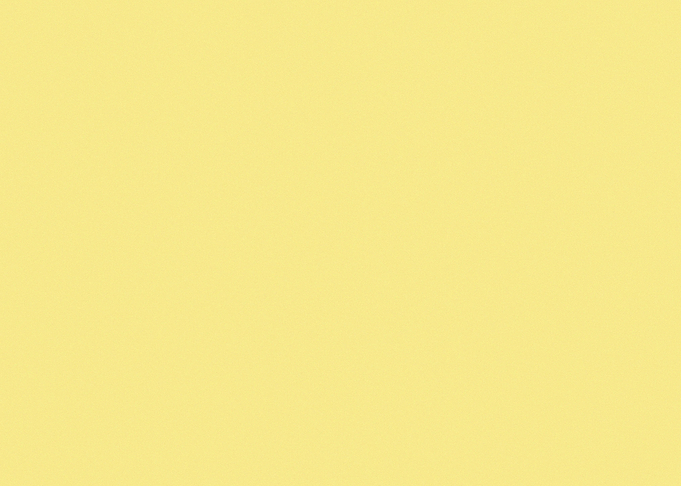 Solid Color