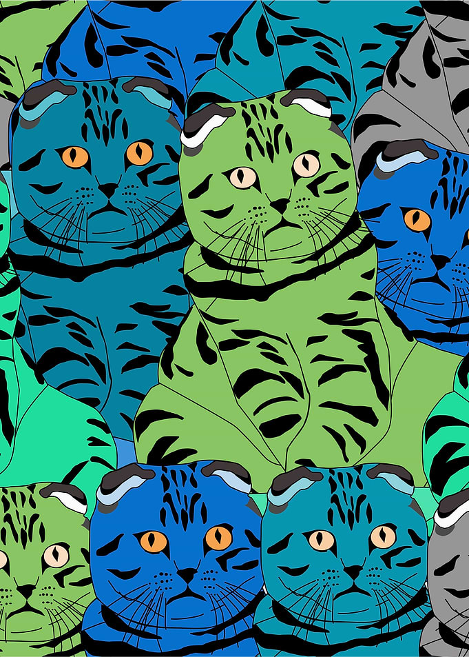 Cats