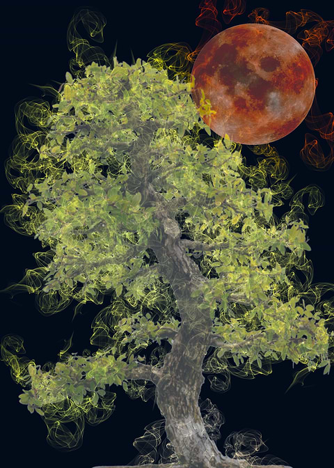 smoke Japan tree