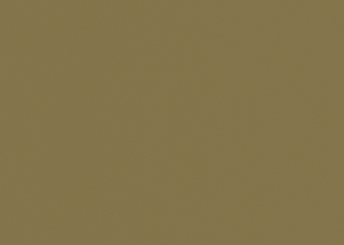 Solid Color