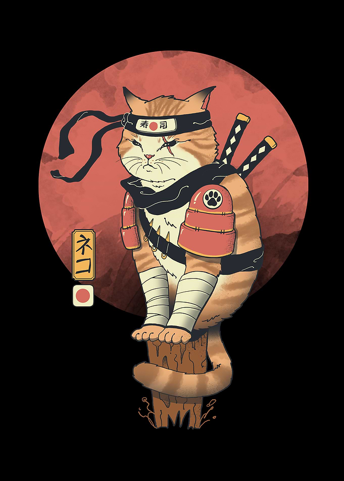 Shinobi Cat