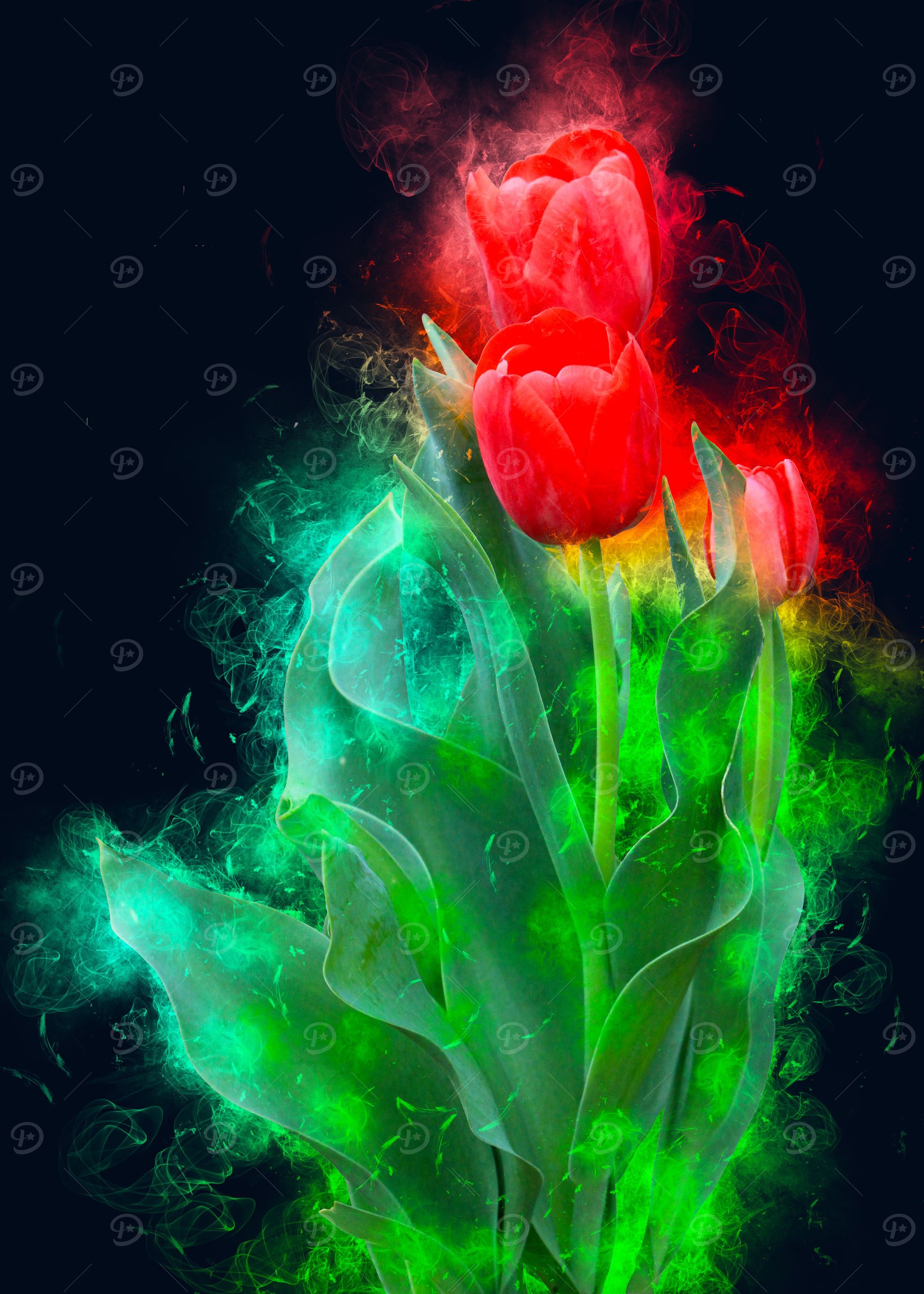 red tulip smoky